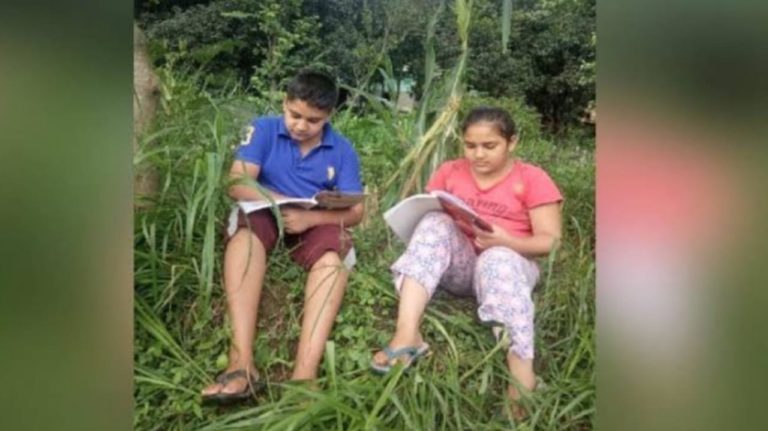 कांगड़ा : मोबाइल नेटवर्क बना समस्या, बच्चे खेतों या जंगलों में पढ़ने को मजबूर